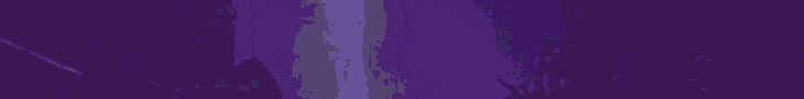 Top Banner