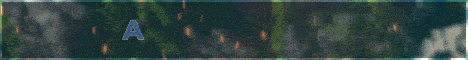 Member Banner