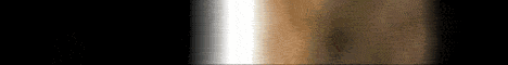 Member Banner