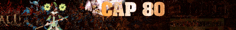 Member Banner